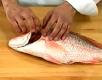 How To Check  The Freshness Of Fish